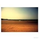 dailyPhoto36